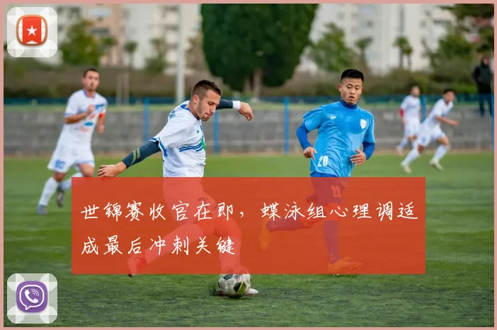 世锦赛收官在即，蝶泳组心理调适成最后冲刺关键