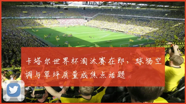 卡塔尔世界杯淘汰赛在即，球场空调与草坪质量成焦点话题